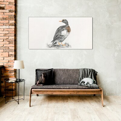 Duck on a white background Glass Print