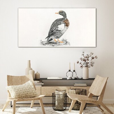 Duck on a white background Glass Print