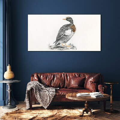 Duck on a white background Glass Print