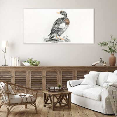Duck on a white background Glass Print