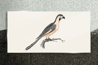 Bird on a branch Glass Print