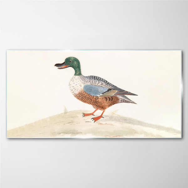 Duck against a background of delicate colors Glass Print
