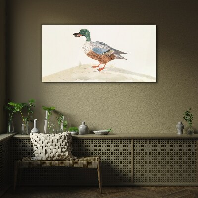 Duck against a background of delicate colors Glass Print