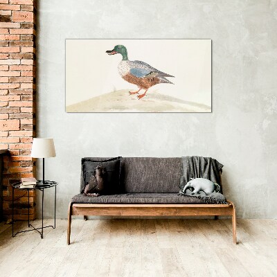 Duck against a background of delicate colors Glass Print