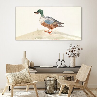 Duck against a background of delicate colors Glass Print