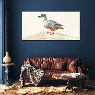 Duck against a background of delicate colors Glass Print