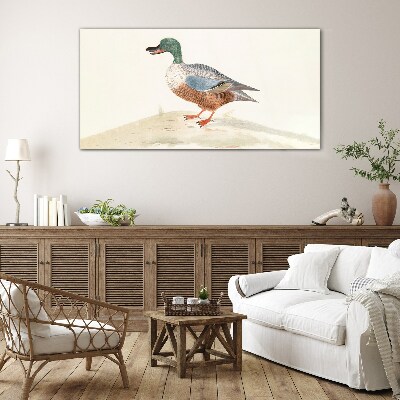 Duck against a background of delicate colors Glass Print