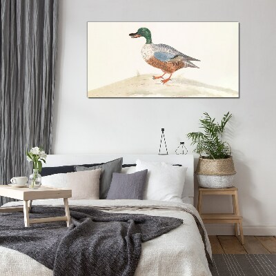 Duck against a background of delicate colors Glass Print