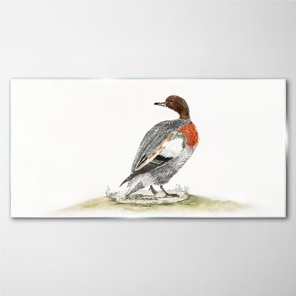 Duck on a natural background Glass Print