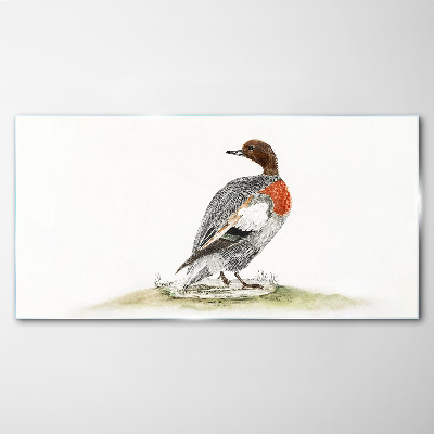 Duck on a natural background Glass Print