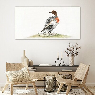 Duck on a natural background Glass Print
