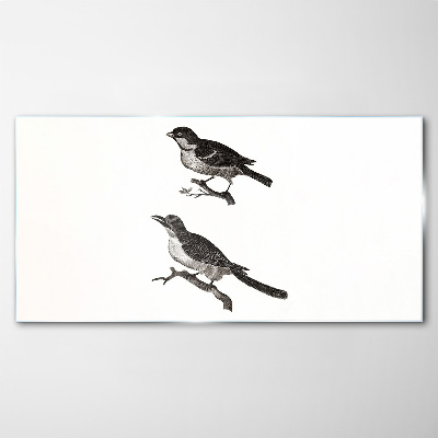 Birds on a branch Glass Print