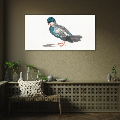 Colorful bird on white background Glass Print
