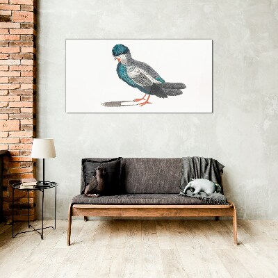 Colorful bird on white background Glass Print
