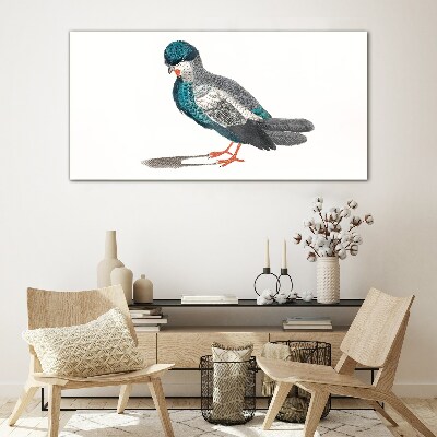 Colorful bird on white background Glass Print