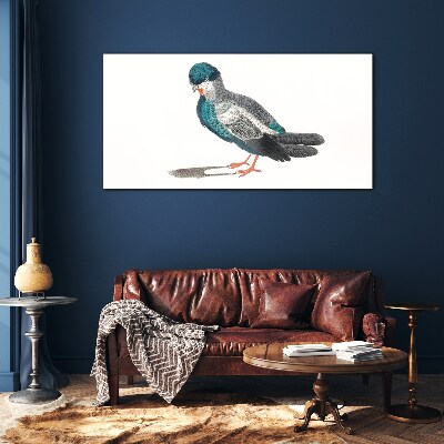 Colorful bird on white background Glass Print