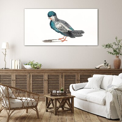 Colorful bird on white background Glass Print