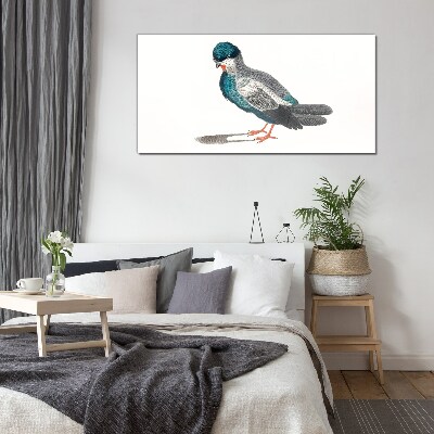 Colorful bird on white background Glass Print