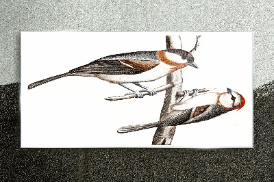 Nightingales on a branch Glass Print