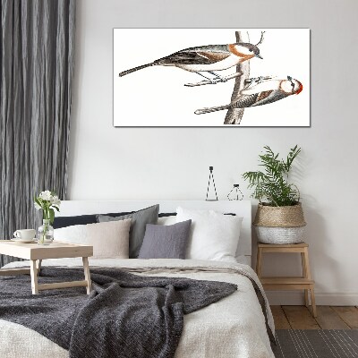 Nightingales on a branch Glass Print