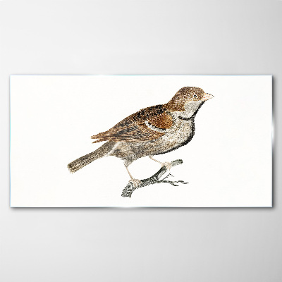 A winged friend in a natural style Glass Print