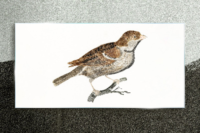 A winged friend in a natural style Glass Print