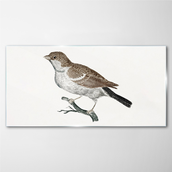 Nightingale on a branch Glass Print