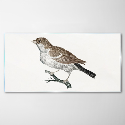 Nightingale on a branch Glass Print