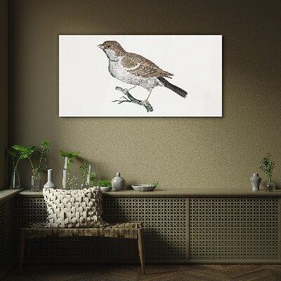 Nightingale on a branch Glass Print