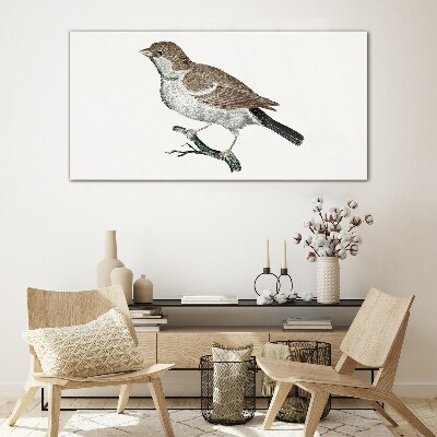 Nightingale on a branch Glass Print