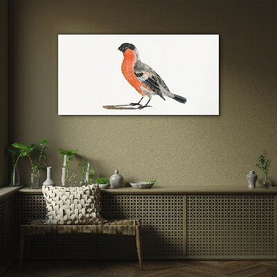 Robin against a white background Glass Print