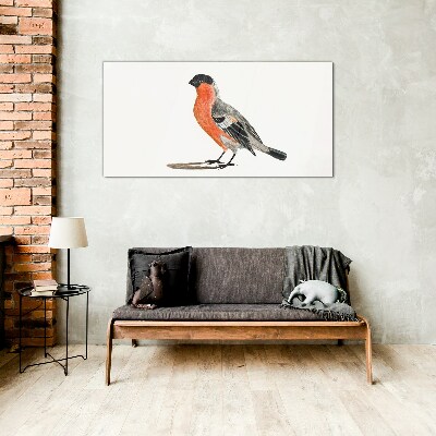 Robin against a white background Glass Print