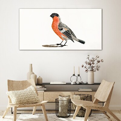 Robin against a white background Glass Print