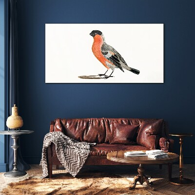 Robin against a white background Glass Print