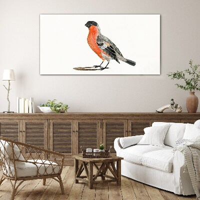 Robin against a white background Glass Print