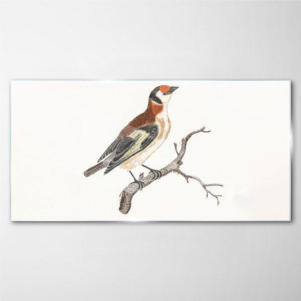 Bird on a branch Glass Print