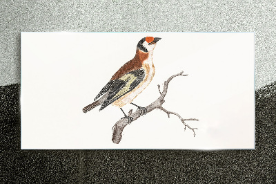Bird on a branch Glass Print