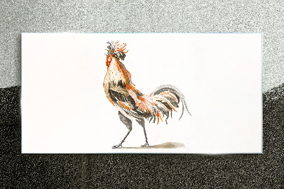 Rooster on the move Glass Print