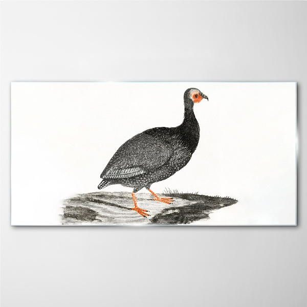 Black bird on white background Glass Print