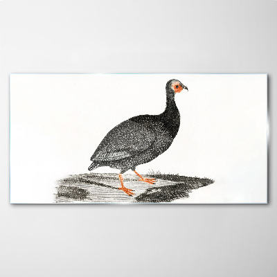 Black bird on white background Glass Print