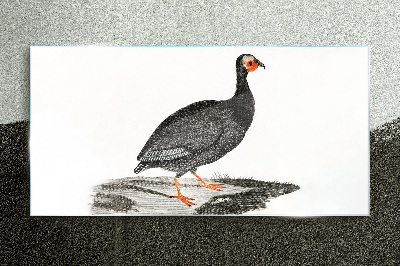 Black bird on white background Glass Print