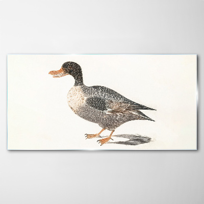 The bird drawing duck Glass Print
