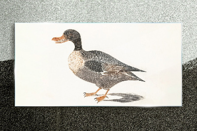 Duck in naturalistic style Glass Print