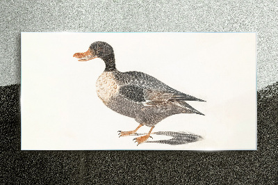The bird drawing duck Glass Print