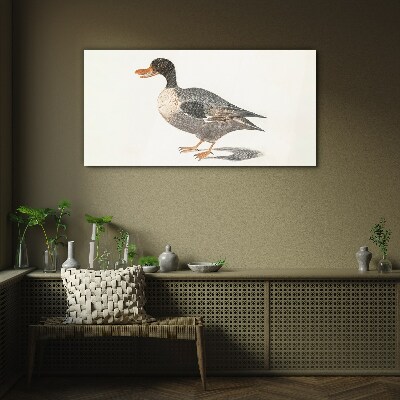 Duck in naturalistic style Glass Print
