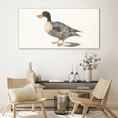 Duck in naturalistic style Glass Print