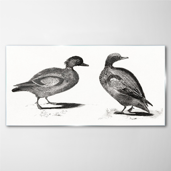 Two ducks in a monochromatic style Glass Print