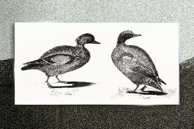Drawing animals birds Glass Print