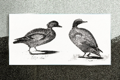 Two ducks in a monochromatic style Glass Print