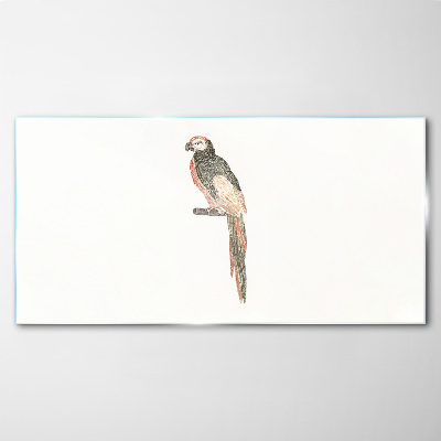 Drawing animal bird parrot Glass Print